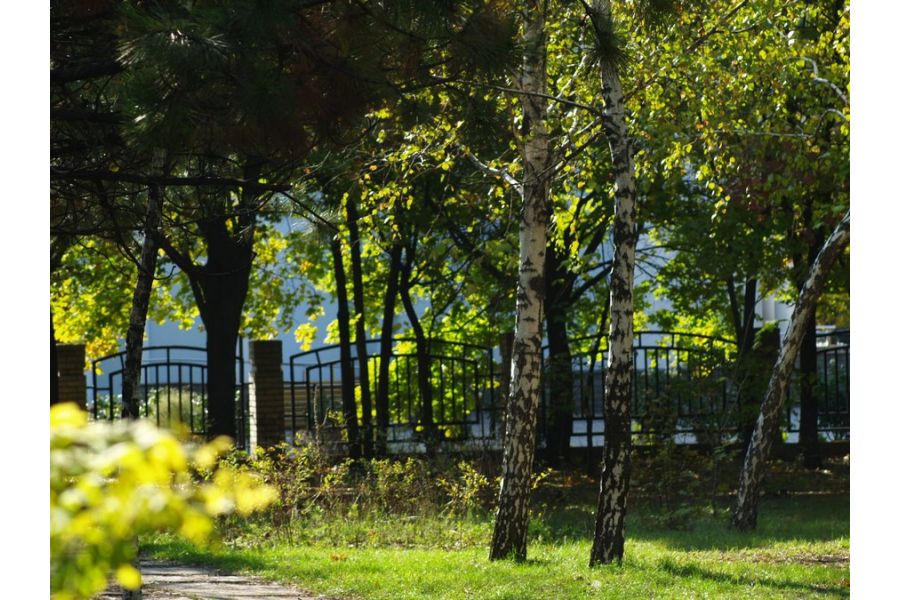 Вега-13М 2,8/100mm