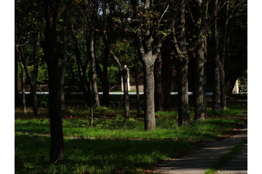 Вега-13М 2,8/100mm