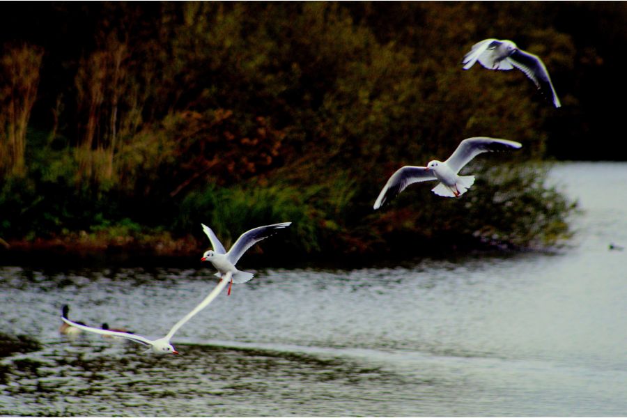 Kiron 3,8-5,6/28-210mm