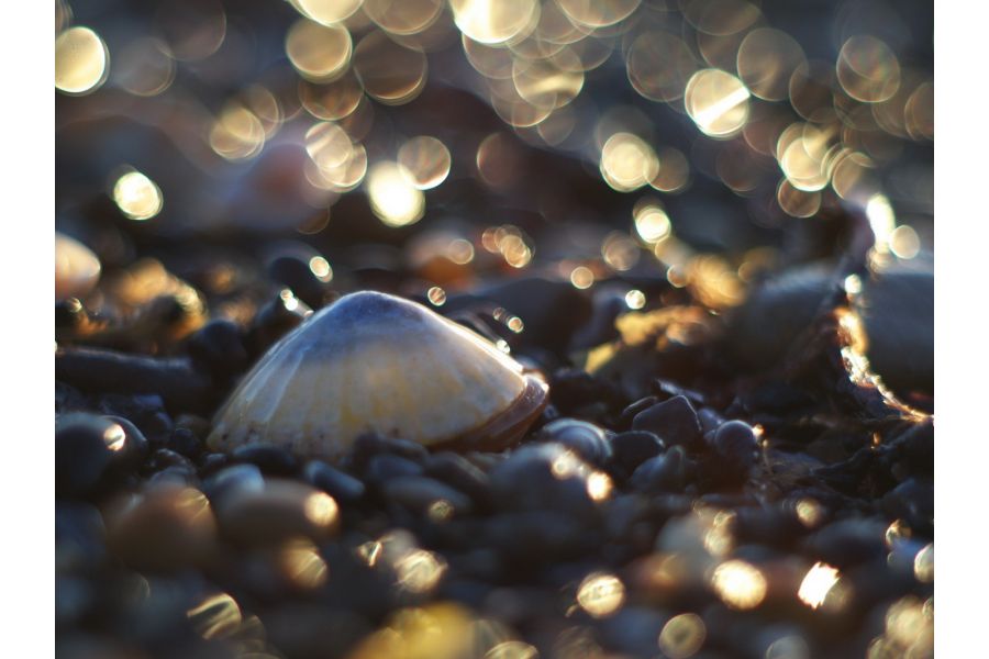 Rokkor 1.7/50mm Minolta MD (Japan, 1973)