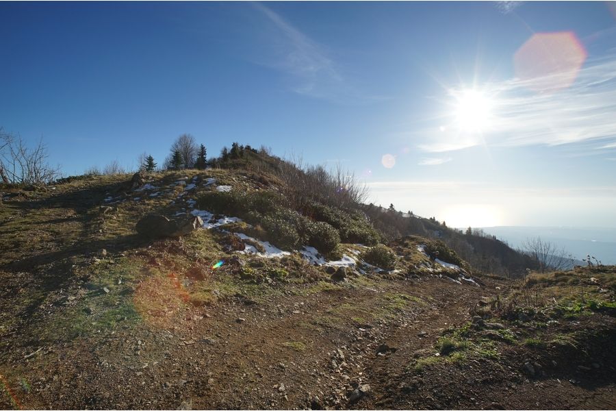 Sigma AF 14mm f/2.8D EX ASPHERICAL HSM Nikon F