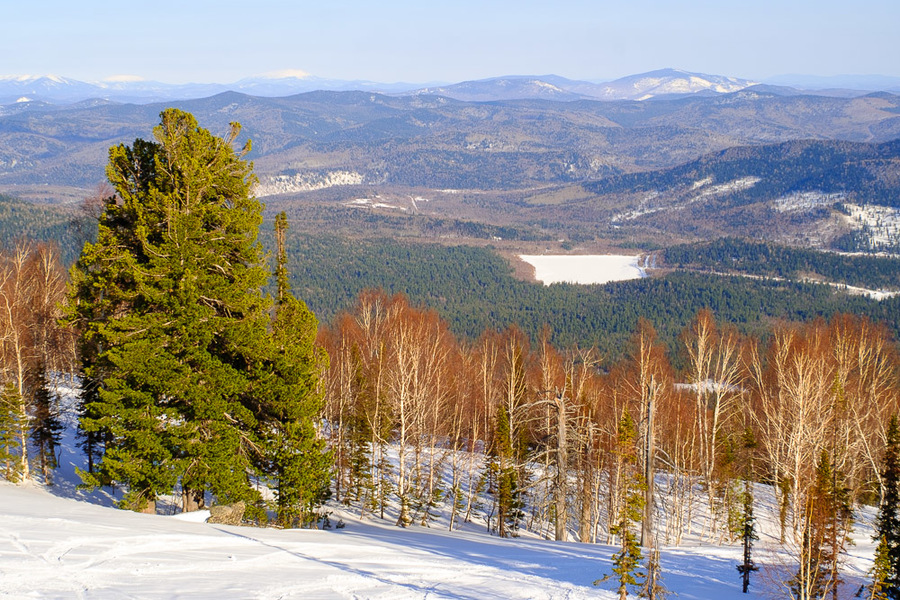 Super-Multi-Coated Takumar 2/35 Asahi Opt. Co. Japan б/у