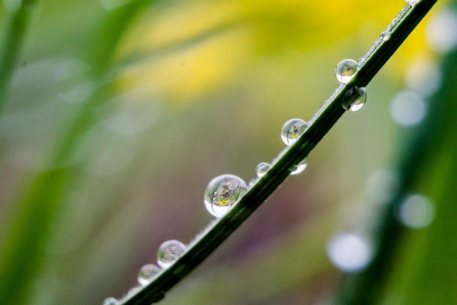 Новый Индустар-26М П 2,8/50 М39 (СССР, 1951 г.)