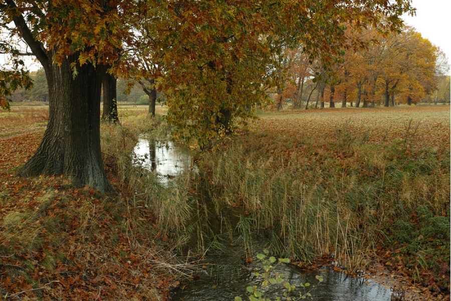 Sigma AF 30mm f/2.8 DN Art Sony E в упаковке