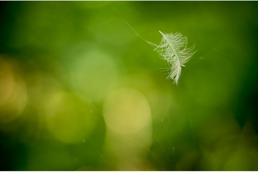 Pentax SMC FA 77mm f/1.8 Limited