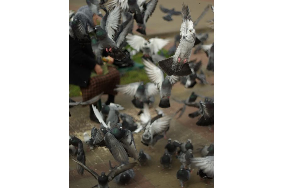 Rikenon 2/50mm Pentax K (Japan, 1987)