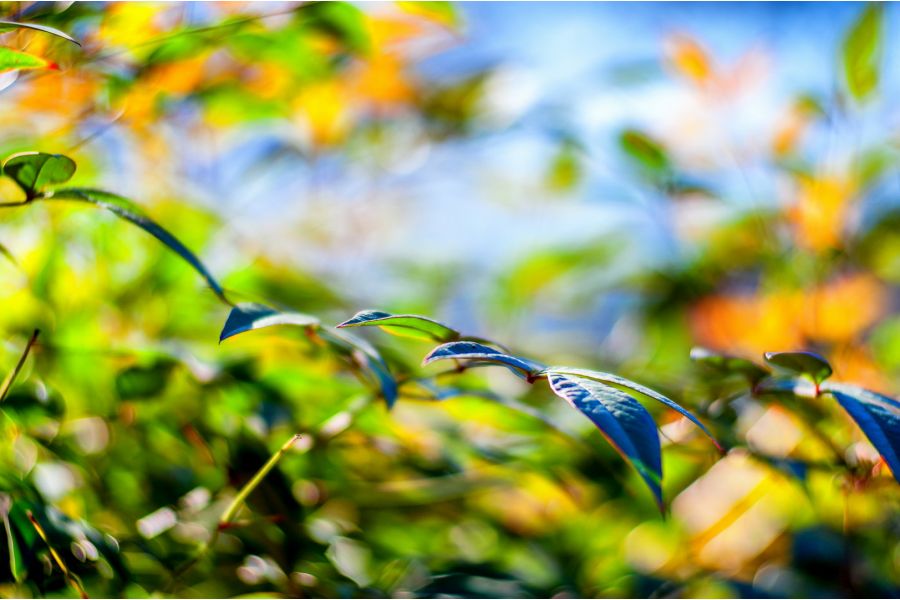 Объектив мануальный Таир-11А 2,8/135 (КМЗ, 1980г)