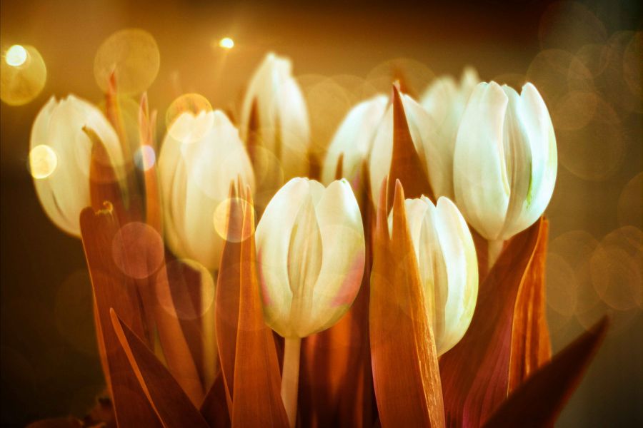 Объектив мануальный Таир-11А 2,8/135 (КМЗ, 1980г)