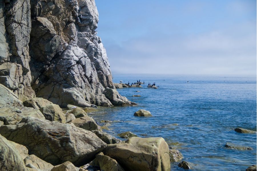 Minolta AF Zoom Macro 28-80mm 3.5(22)-5.6D