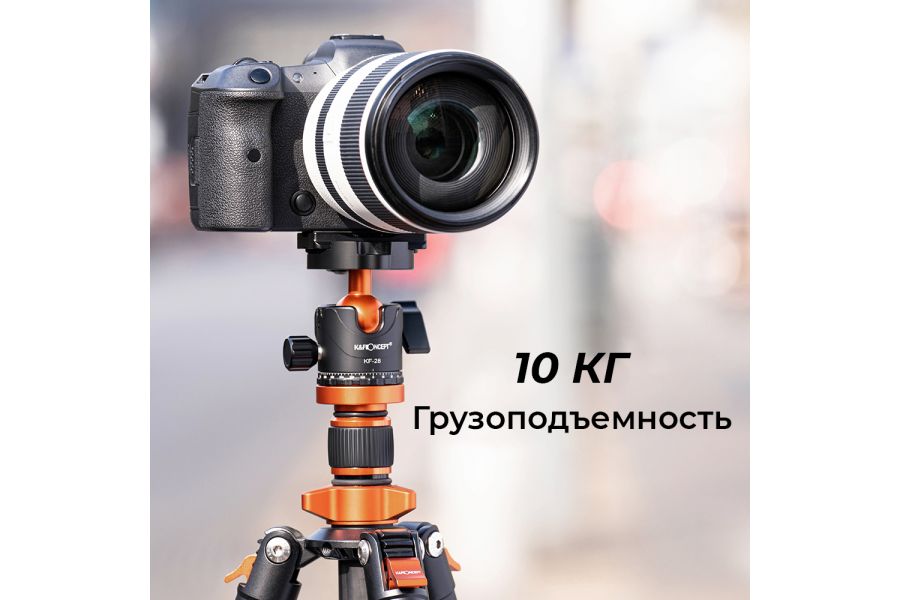 Штатив K&F Concept D254C1 + BH-28L