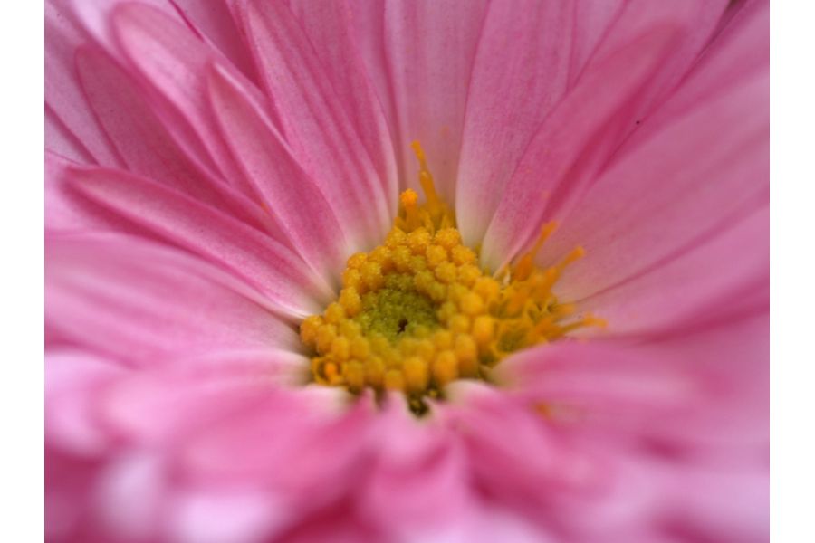 Sigma AF 105mm f/2.8 EX DG Macro Canon EF в упаковке