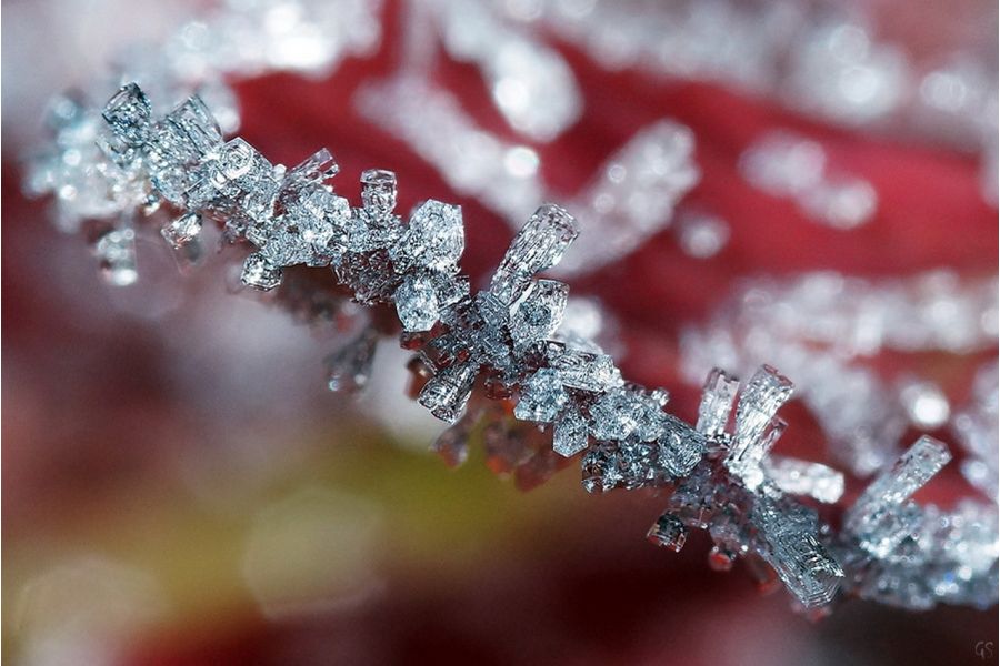 Sigma AF 105mm f/2.8 EX DG Macro Canon EF в упаковке