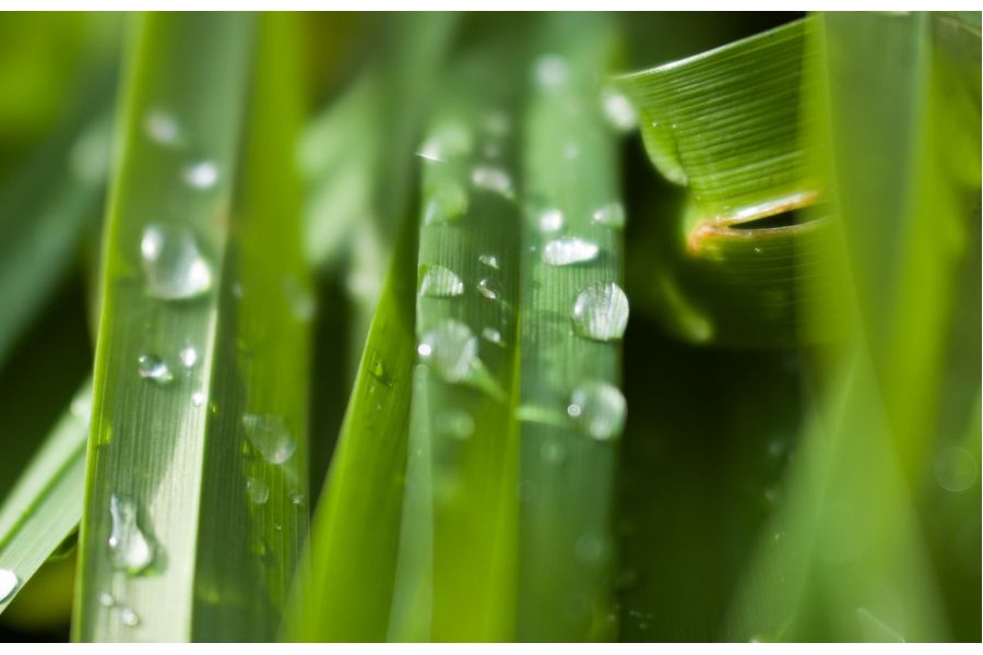 Редкость Волна-9К МС Макро 2,8/50 (СССР, 1987)