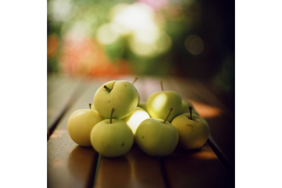 Киев 60 + Вега-12Б (Арсенал, 1987г.)