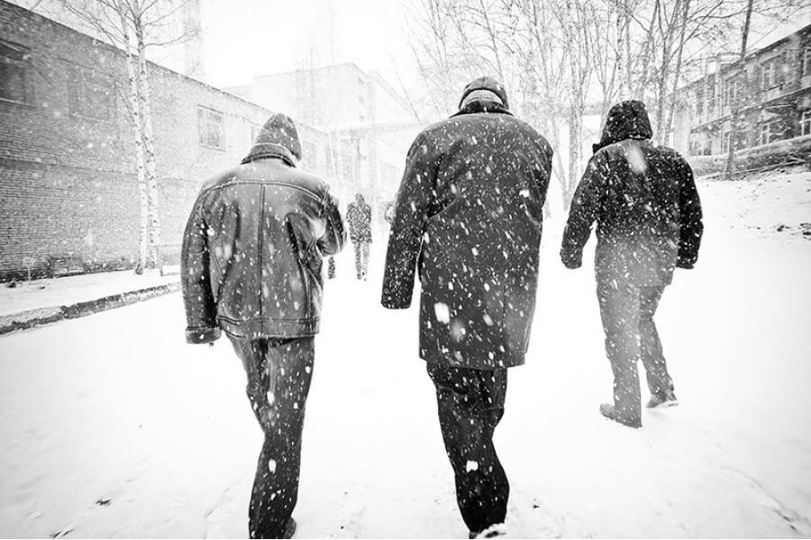 Руссар / Russar+ new 5.6/20