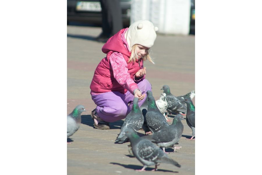 Revuenon Auto MC 80-205mm f/4.5 Macro for Pentax