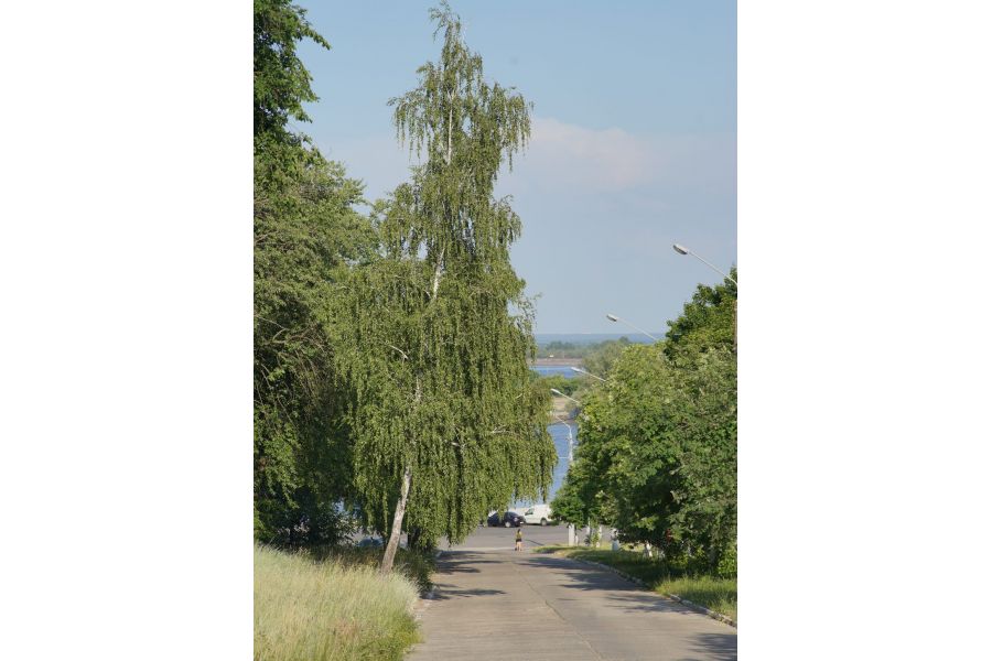 Pentax-A SMC zoom 35-135mm f/3.5-4.5