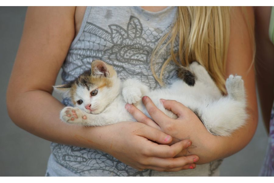 Pentax-A SMC zoom 35-135mm f/3.5-4.5