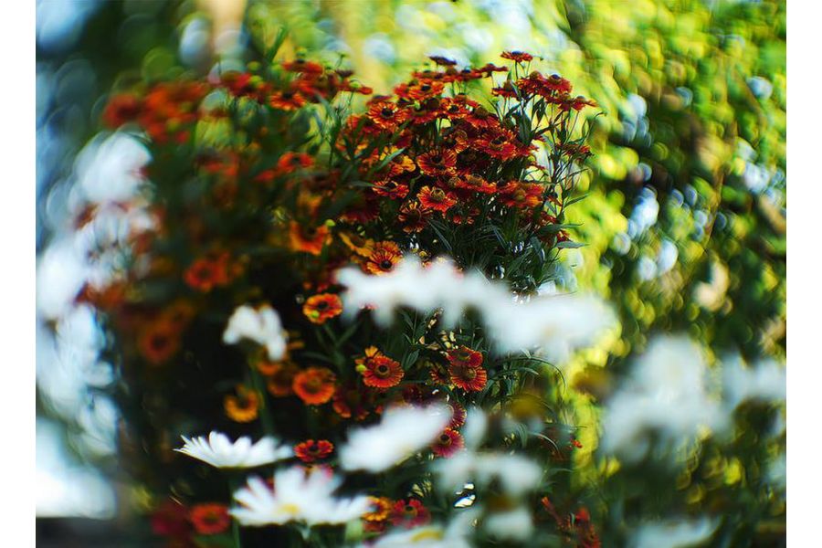 РО-109-1А П 1,2/50мм