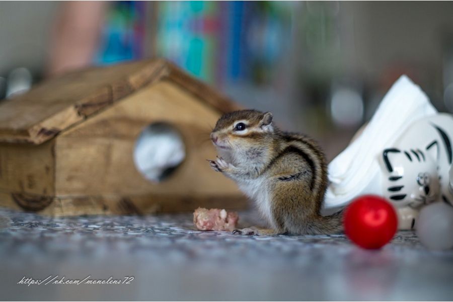 Canon FD 1.4/50mm S.S.C. Japan для Micro 4/3