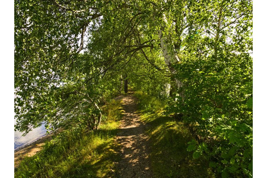 Olympus M.Zuiko Digital 7-14mm f/2.8 ED PRO