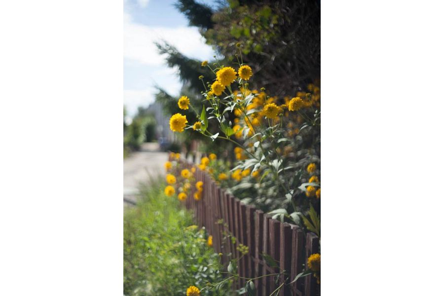 Pentacon Prakticar MC 1.8/50 б/у