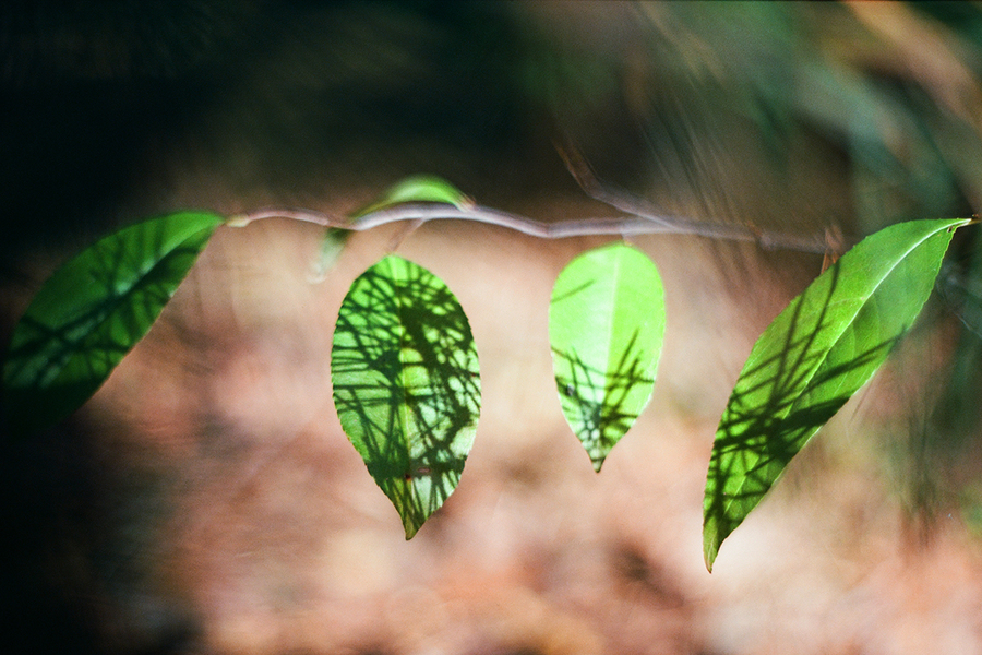 Pentacon Prakticar MC 1.8/50 б/у