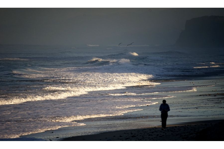 Sony 500mm f/8 (SAL500F80)