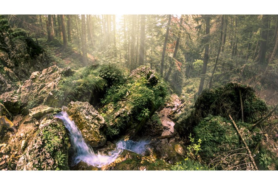 Samyang 8mm f2.8 UMC Fish-Eye II E