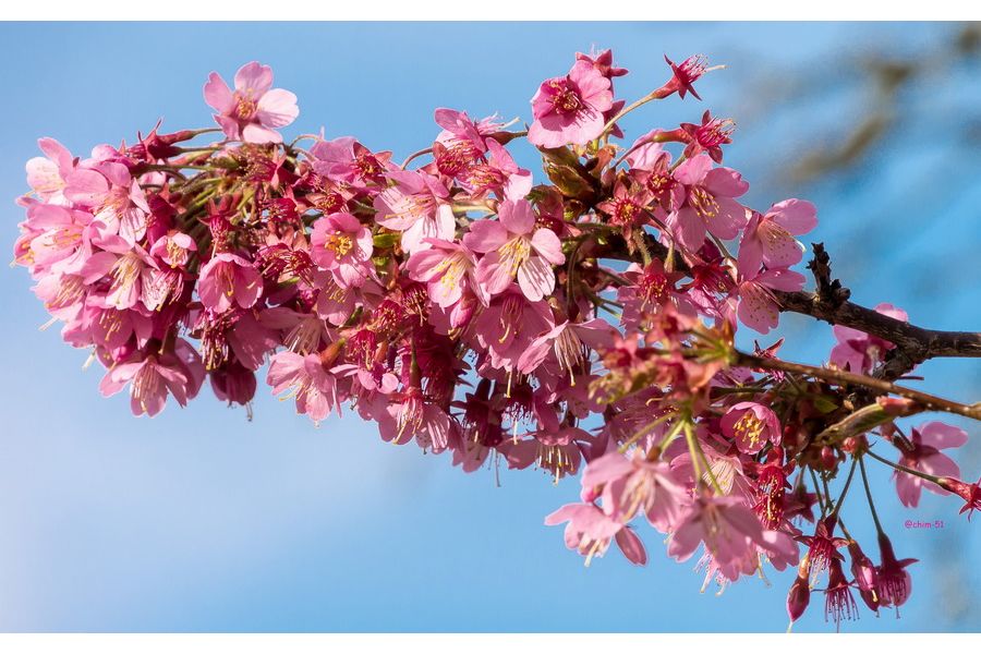 Panasonic Lumix G.Vario 45 -150mm f/4.0-5.8