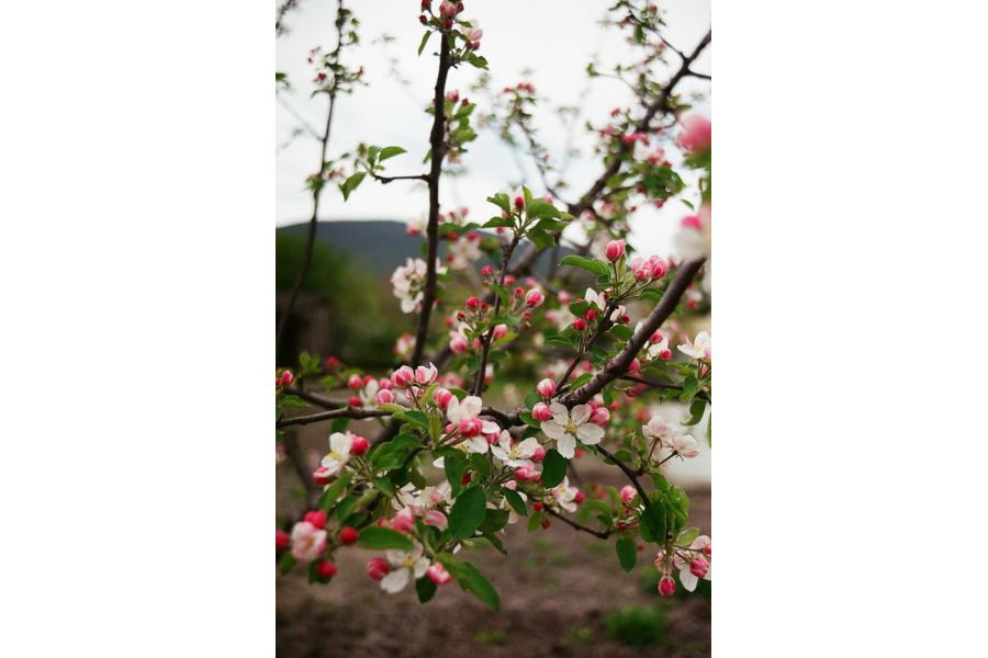 Вариозенитар-К МС 2,8-3,5/25-45 в упаковке (КМЗ, 1991)