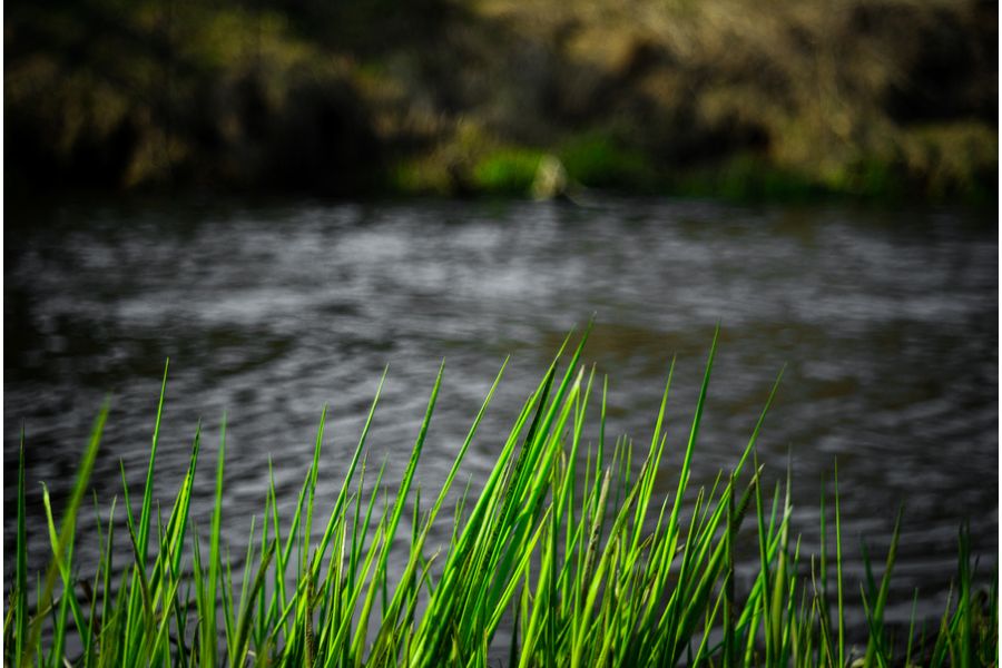 Makro-Kilar Е Kilfitt Munchen 2.8/40mm