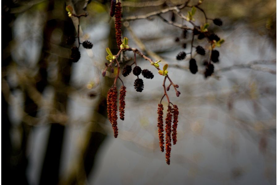 Makro-Kilar Е Kilfitt Munchen 2.8/40mm