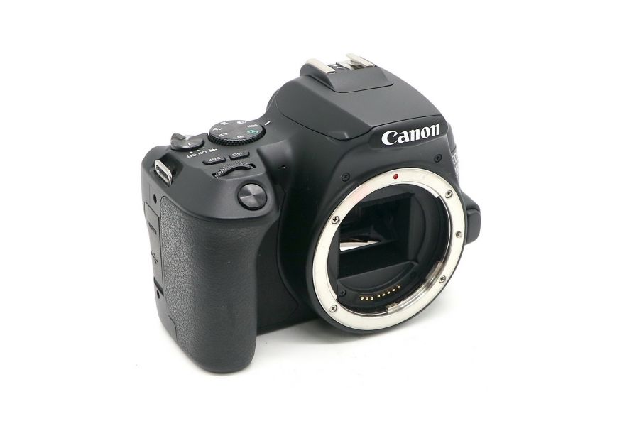 Canon EOS 250D body (пробег 10000 кадров)