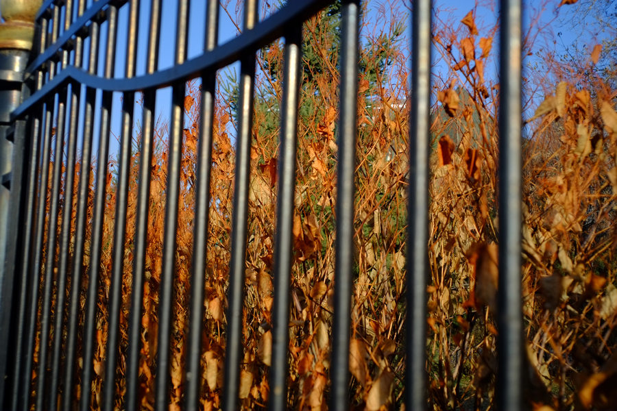 Biogon 2,8/28mm ZM T* Carl Zeiss новый