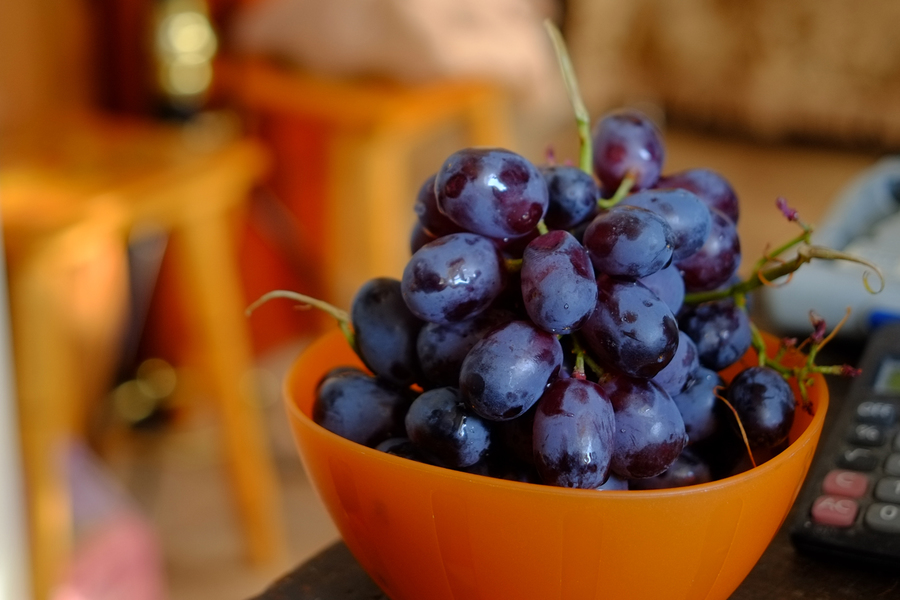 Biogon 2,8/28mm ZM T* Carl Zeiss новый