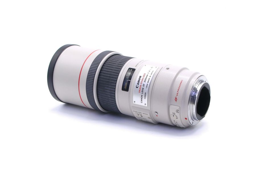 Canon EF 300mm f/4L IS USM