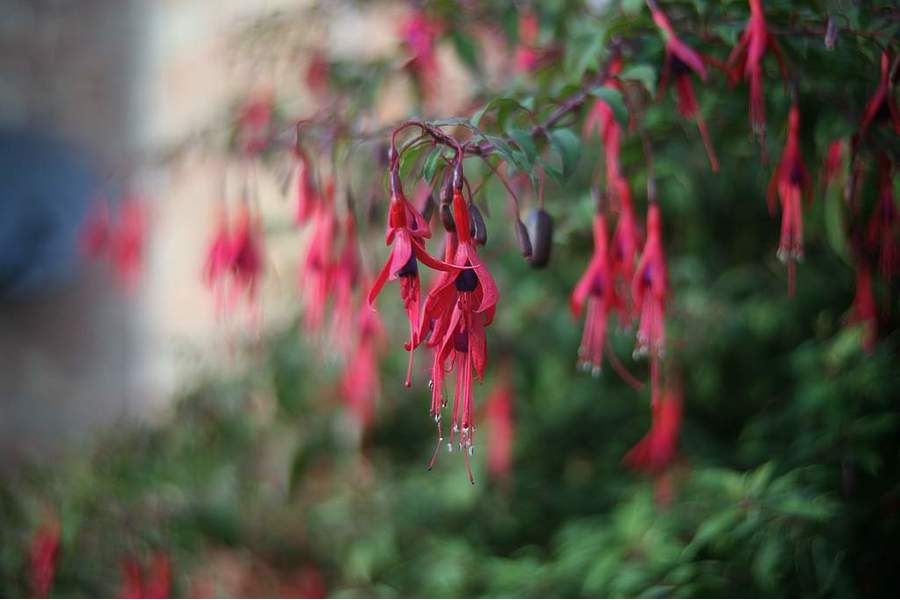 Hanimex 28-80mm f/3.5-4.5 Zoom MC