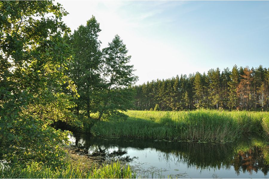 Tamron SP AF 17-50mm f/2.8 XR Di II LD VC Aspherical (IF) (B005) Nikon F в упаковке