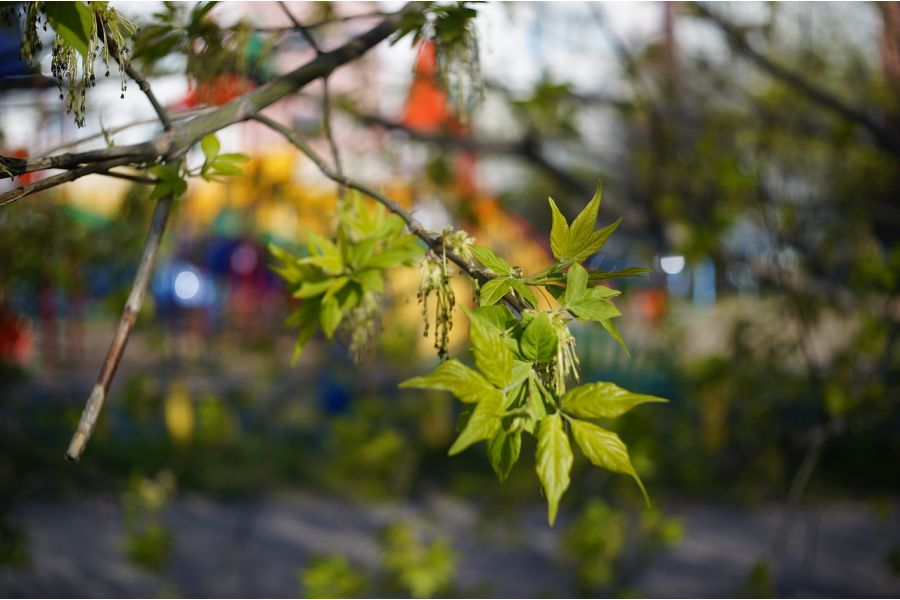 Pentakta 2.8/30 объектив для чтения микрофиш