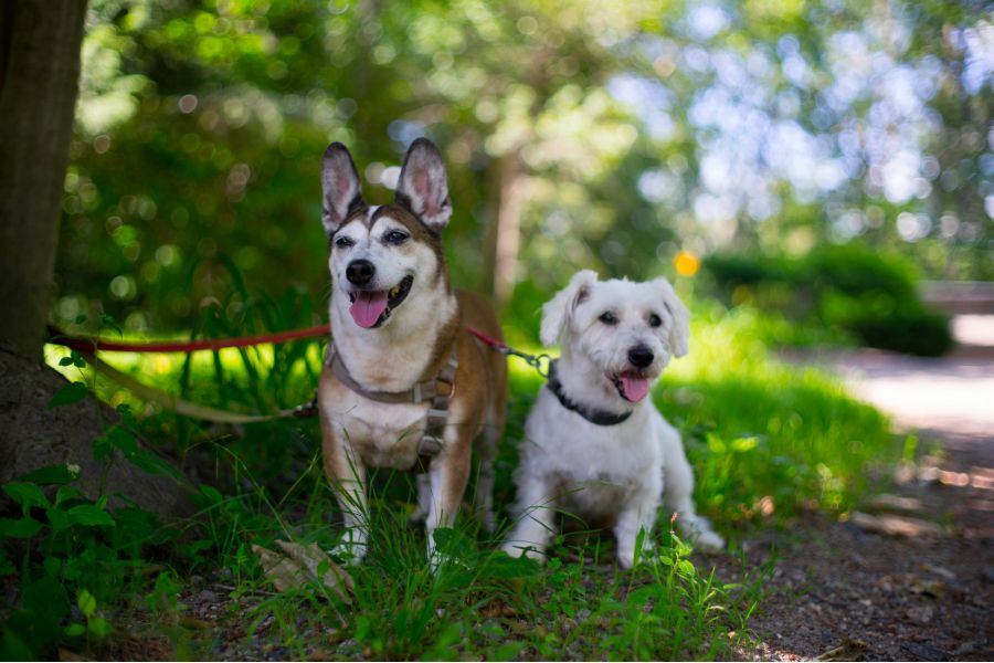 Fujinon 1.4/16mm HF16SA-1 новый