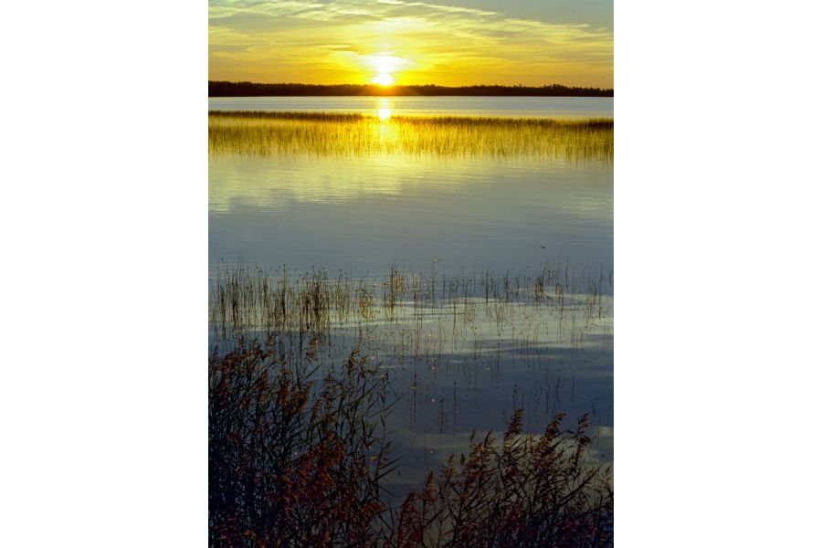 Sigma AF 70-300mm f/4-5.6 Macro for Canon EF б/у