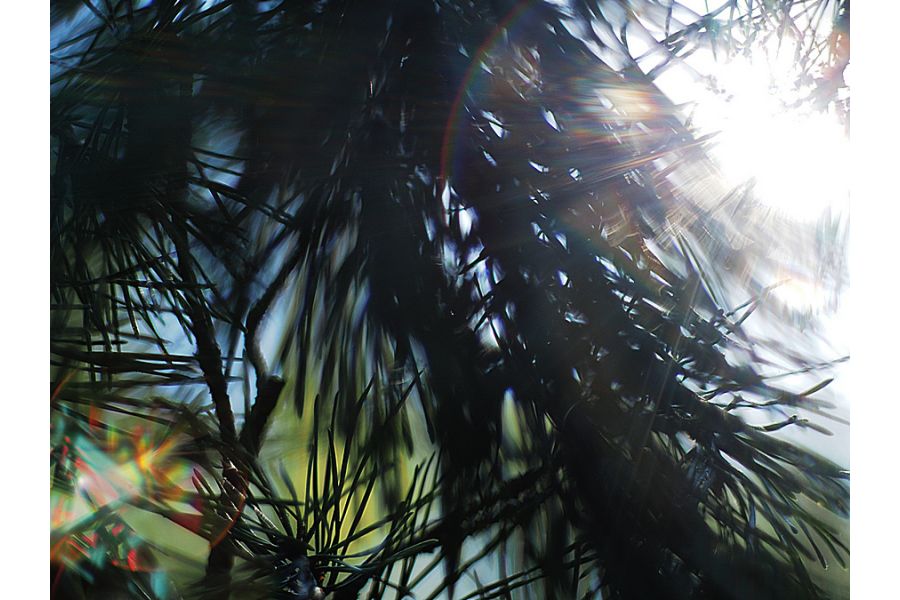 Petri Orikkor f/2 50mm Kuribayashi C.C.