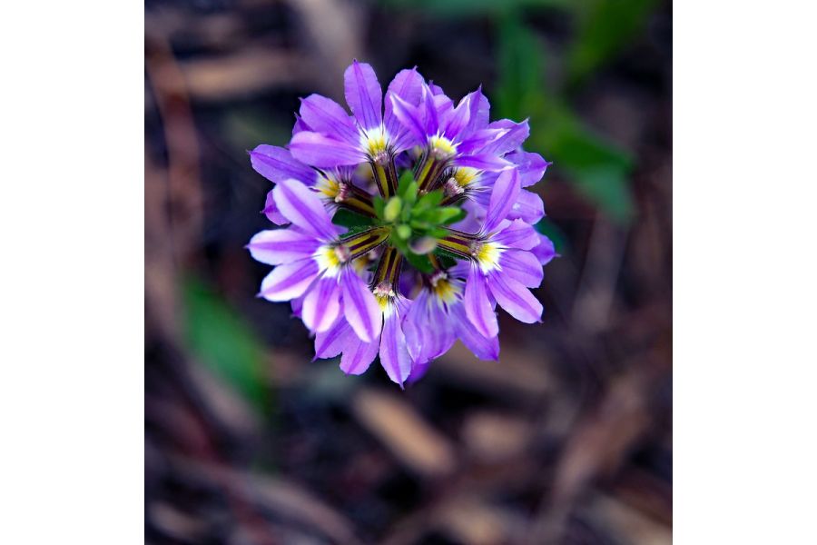 Canon EF 24-105mm 4L IS USM в упаковке