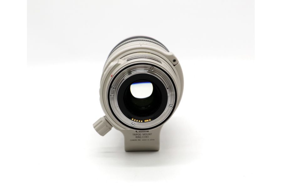 Canon EF 28-300mm f/3.5-5.6L IS USM в чехле