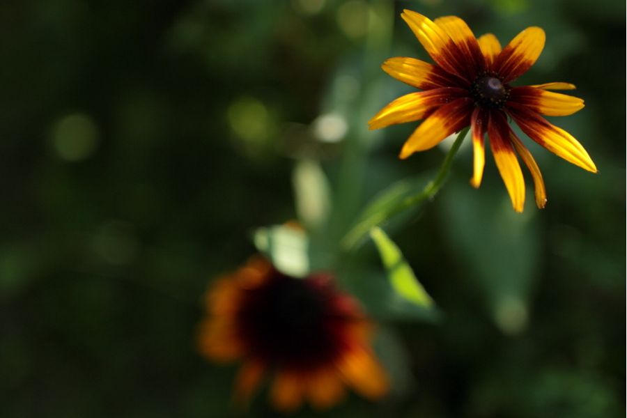 Юпитер-9 2/85 для Fujifilm FX