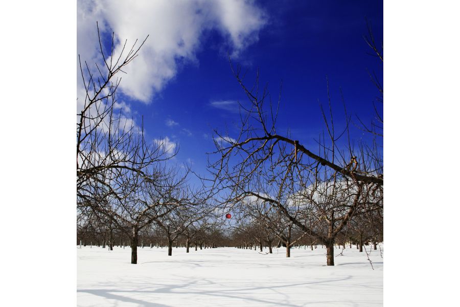 Canon EF-S 18-55mm 3.5-5.6 II USM