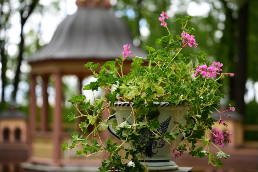 Tamron SP AF 70-200mm f/2.8 Di VC USD G2 (A025) Canon EF