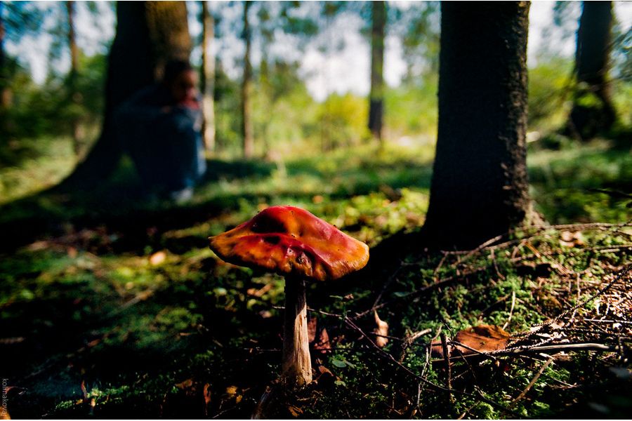 Vivitar 24mm/2,8 MC Wide Angle