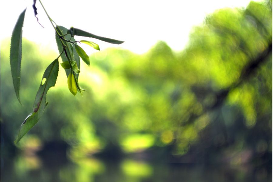 РО4-1М П 2/35мм М42